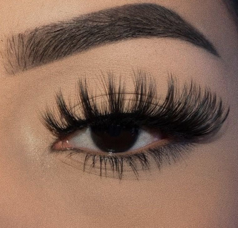 Soft Blink Lashes