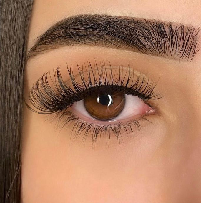 Natural Blink Lashes